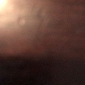 Meet your Posher, Ricky